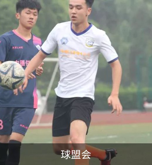球盟会介绍